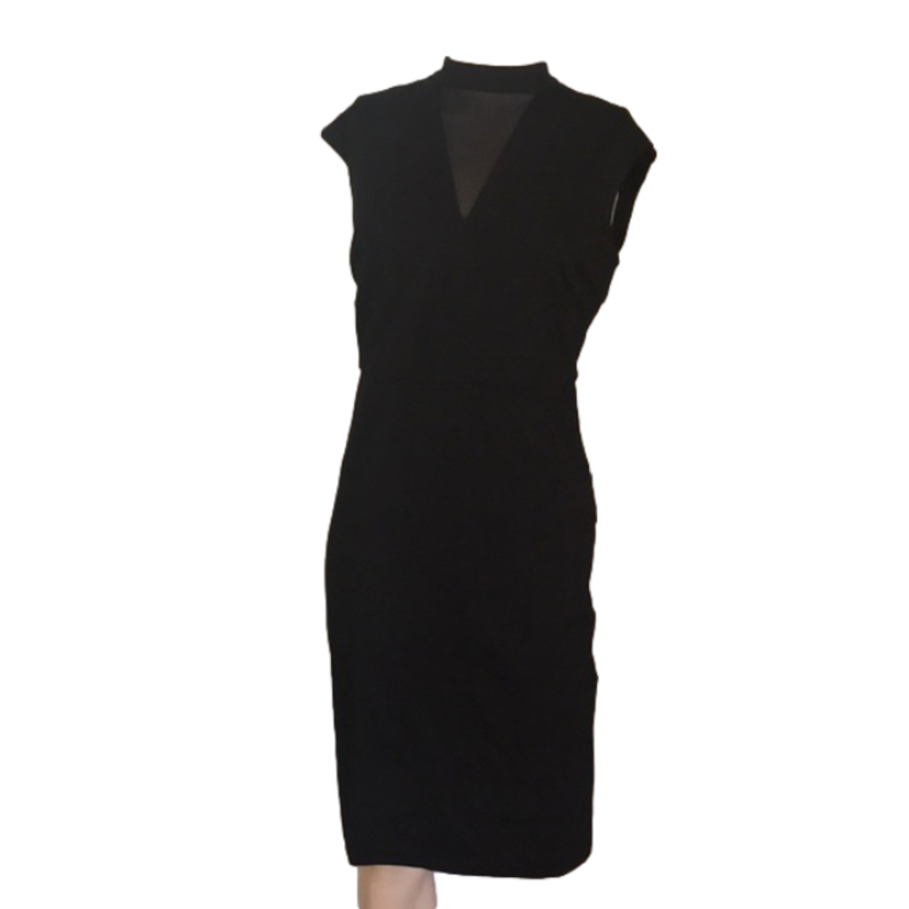 NWOT Beige by Eci dress